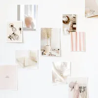 haute-stock-subscription-creative-snapshots-collection-final-1 copy